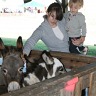 Wainfleet Fall Fair 2009